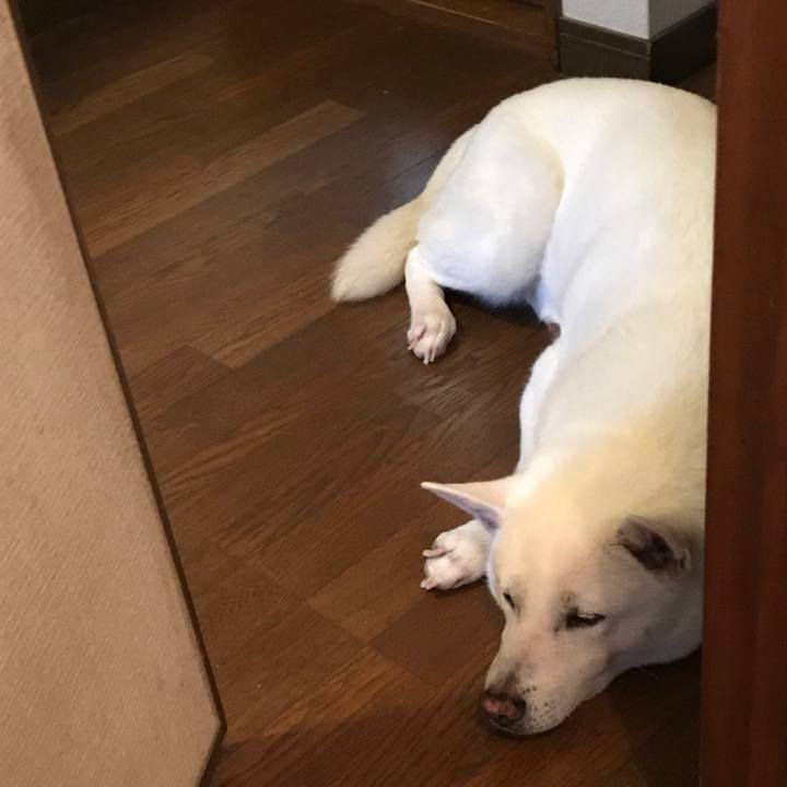 59bea3c3 79ce 414d b430 b2b34d86e96c