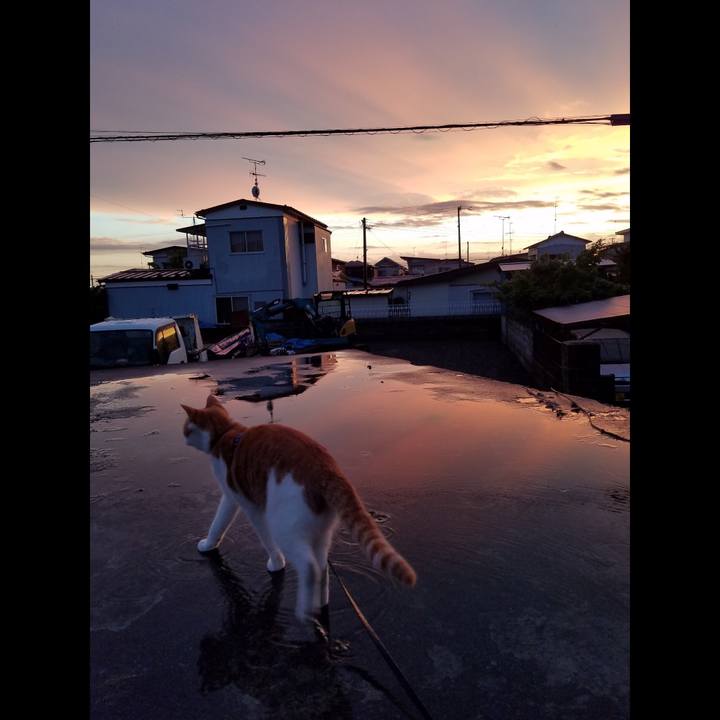 59bebd8a ee91 4f49 9a31 c56619d45d09