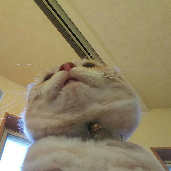 59beeb8e e998 4926 9cff a4e100e30fa1