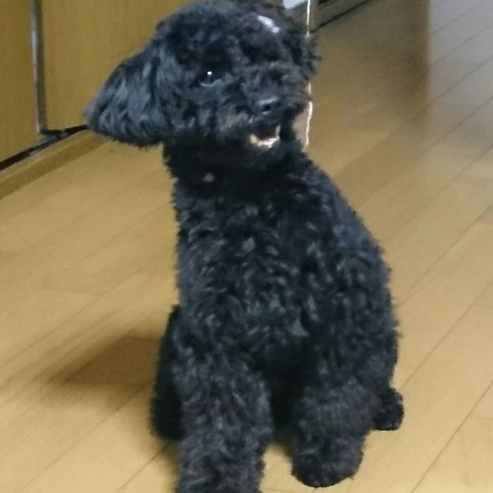 59bf8cad 6cb0 4c2a b077 c1fbc8371527