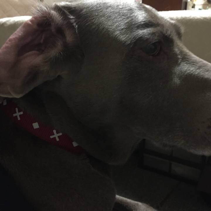 59c030f8 9e0c 48ea ba73 c28627db6916