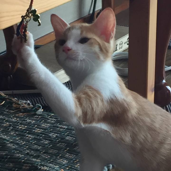 59c133e4 2070 4c5f b02f 88c9517f67a4