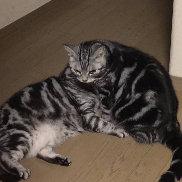 59c16544 bdcf 4f2c b41b 38459eba22ff