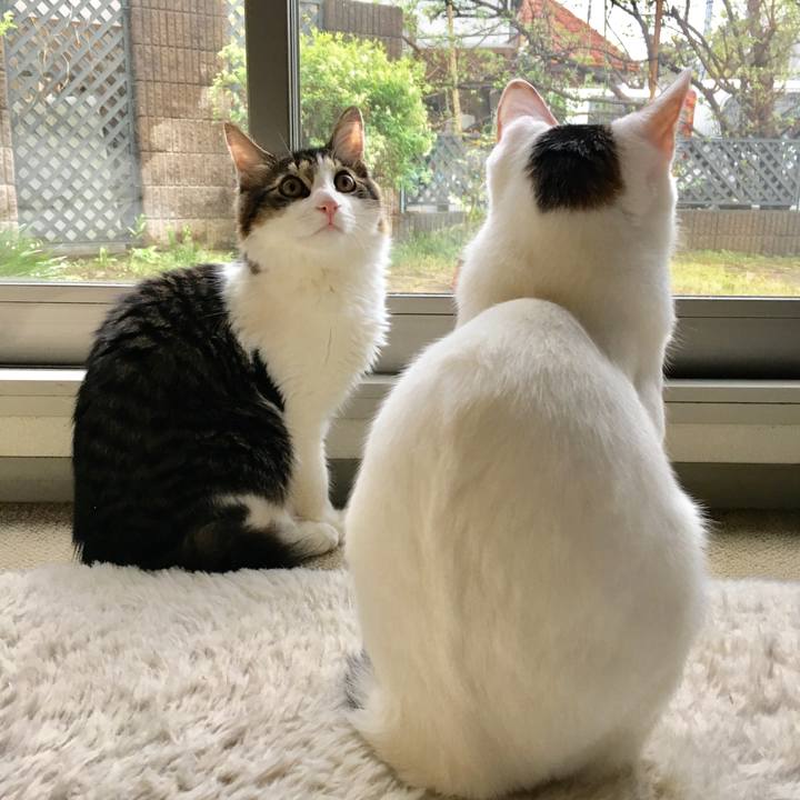 59c166a5 172f 47a1 940e 8b6a0f38a848