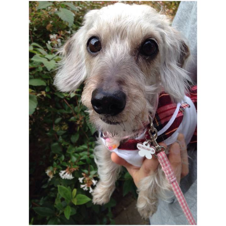 59c16db5 29c8 431e 97d0 a88e8b4372c8