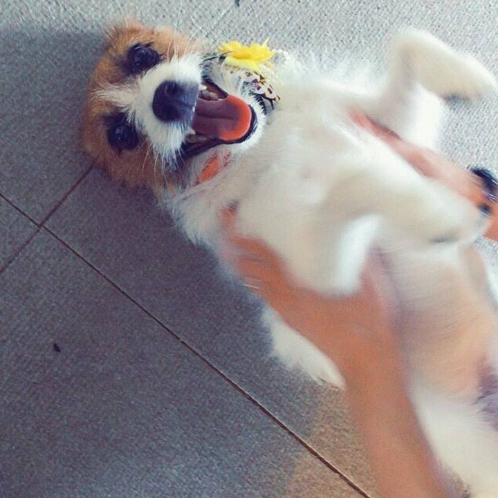 59c1fb64 62a8 47ce 945a 6fa22a662beb