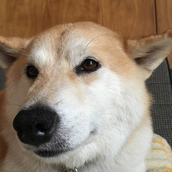 59c22641 ccfa 47ea abe4 afd816a5cef0