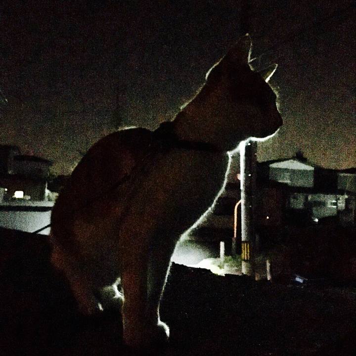 59c233f0 96f5 40f5 bc95 e41f0f99d2fa