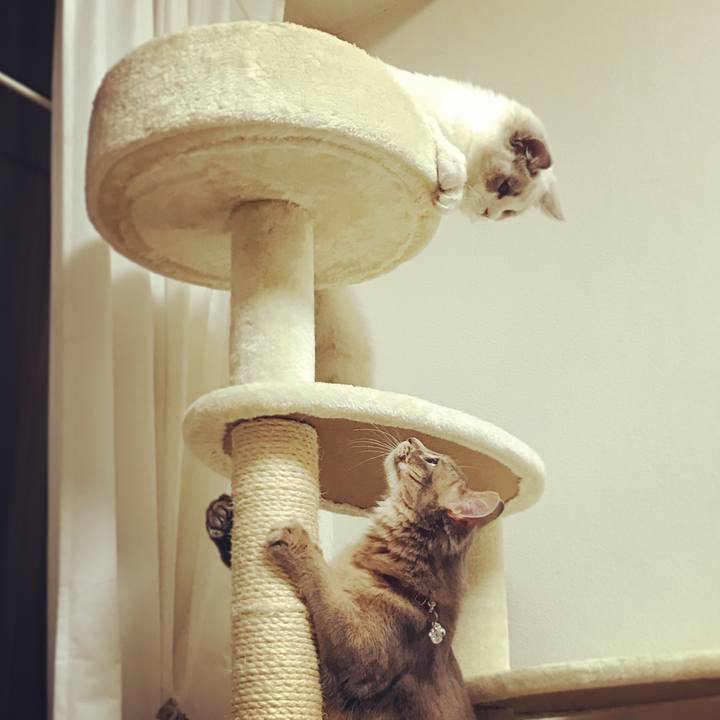 59c2af95 082f 407c a6a4 a90dddac5693