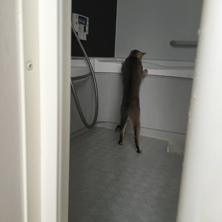 59c30f2b 0692 4b4c b69d 57d8ee74468a