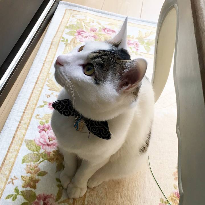 59c33de0 59c1 4e32 a75c 75107b85376e