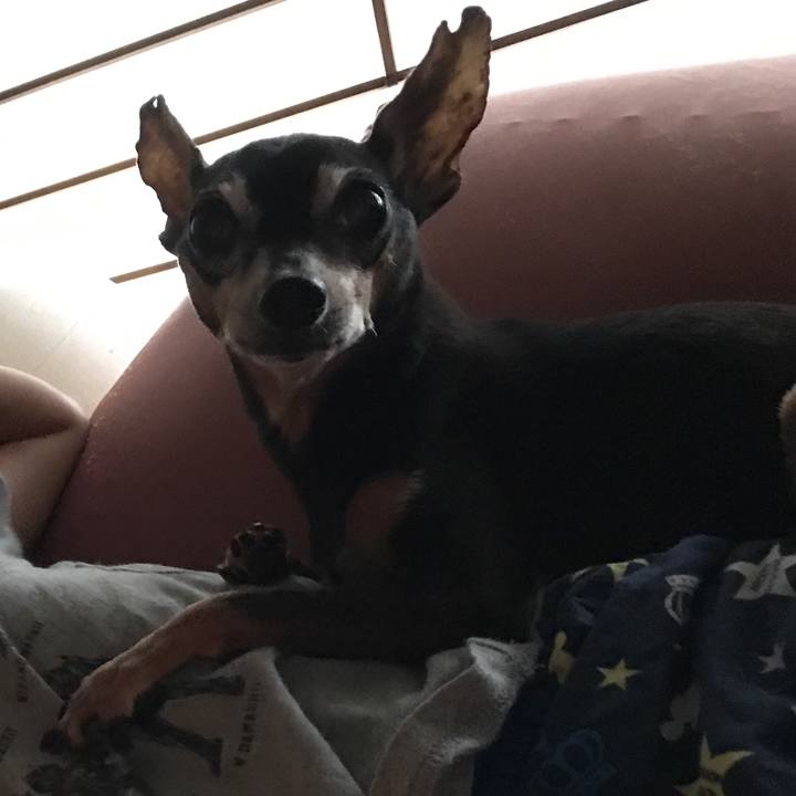 59c368c6 1a09 40da bfc1 caabee65c2eb