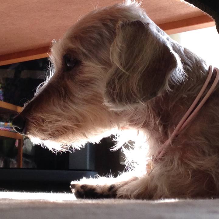 59c3a821 4f69 4f49 802a f9d64e979930