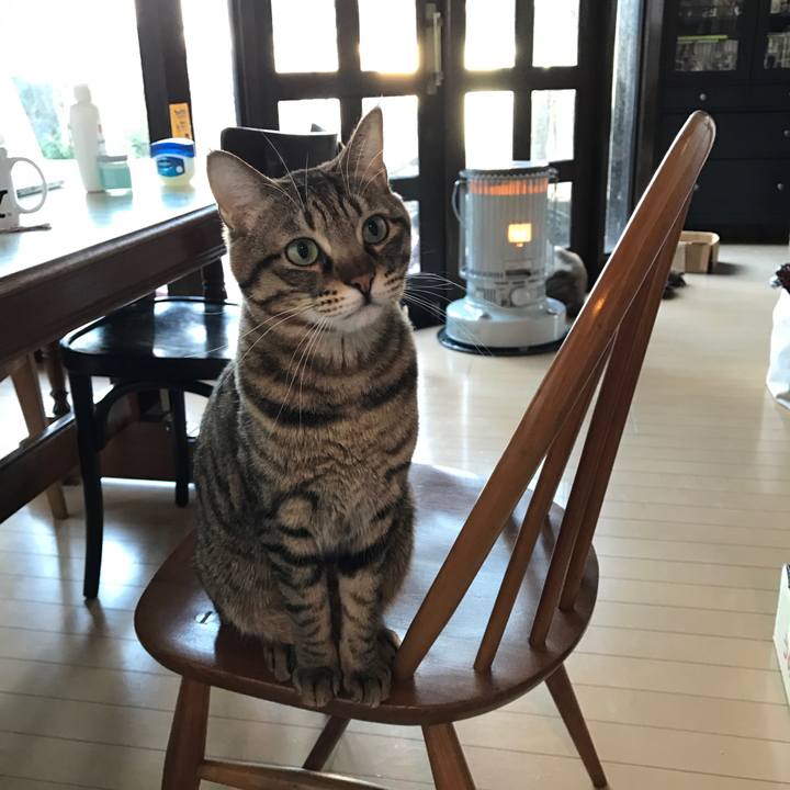 59c3d931 db95 49b6 8386 7b38e55d2a06