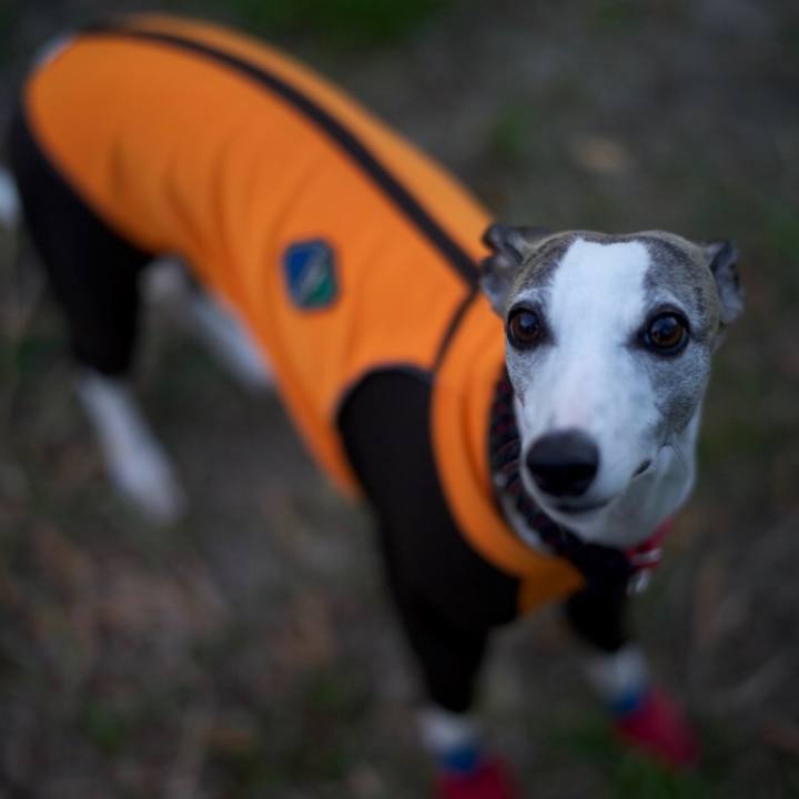 59c3e7d5 204b 4853 b54a 0479fa8e52c1