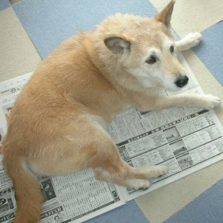 59c4e7f5 36b9 401d bbe4 443b86c3fdbc