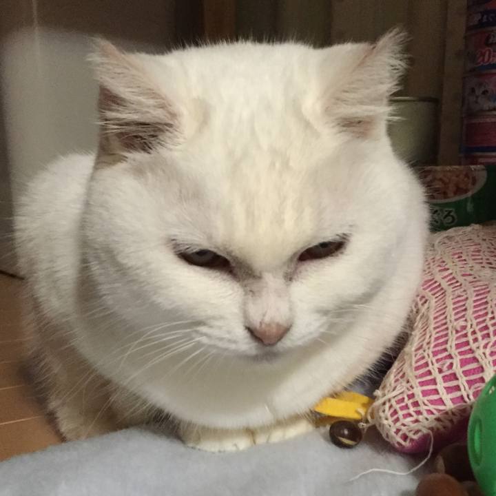 59c5192f 505e 4f11 aaba 6f4402fb90eb