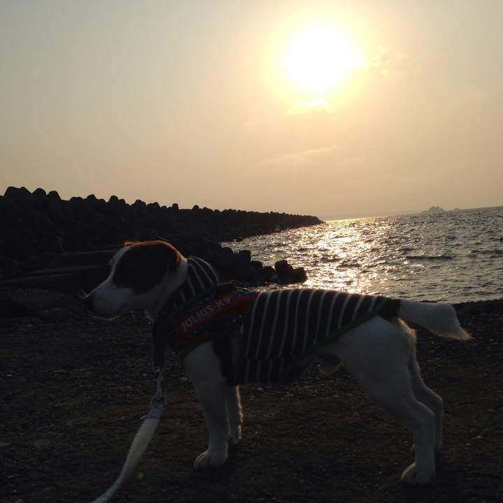 59c553d3 251e 4648 852f 2065c86cb01f