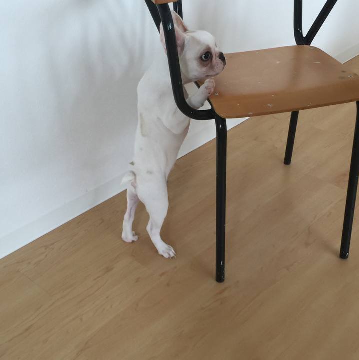 59c56c17 ee68 4e97 88e9 1355263cfdd9