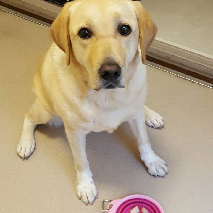 59c6252f a885 4b9f a887 db4bad38412e