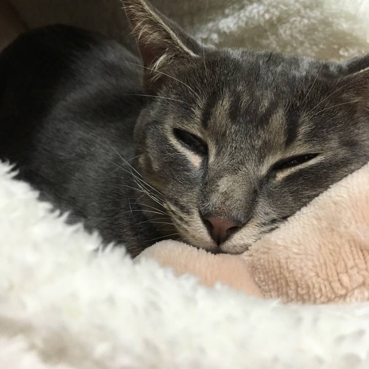 59c650e8 e02a 4fd3 b116 0fa1b76b0a7b