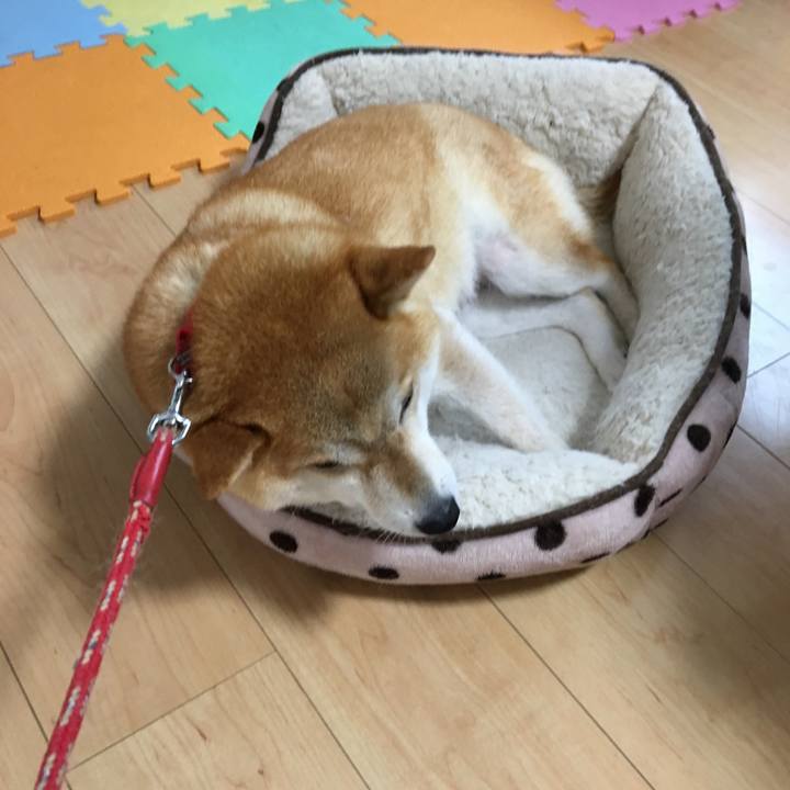 59c66907 ee3d 48d8 b936 4c5917c9a670