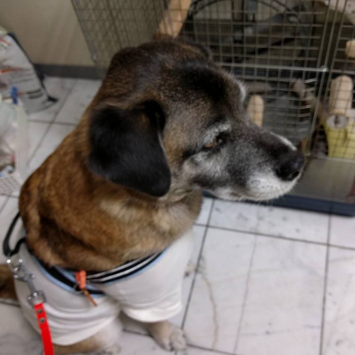 59c67c67 119a 486a a0b4 25900cc9b43e