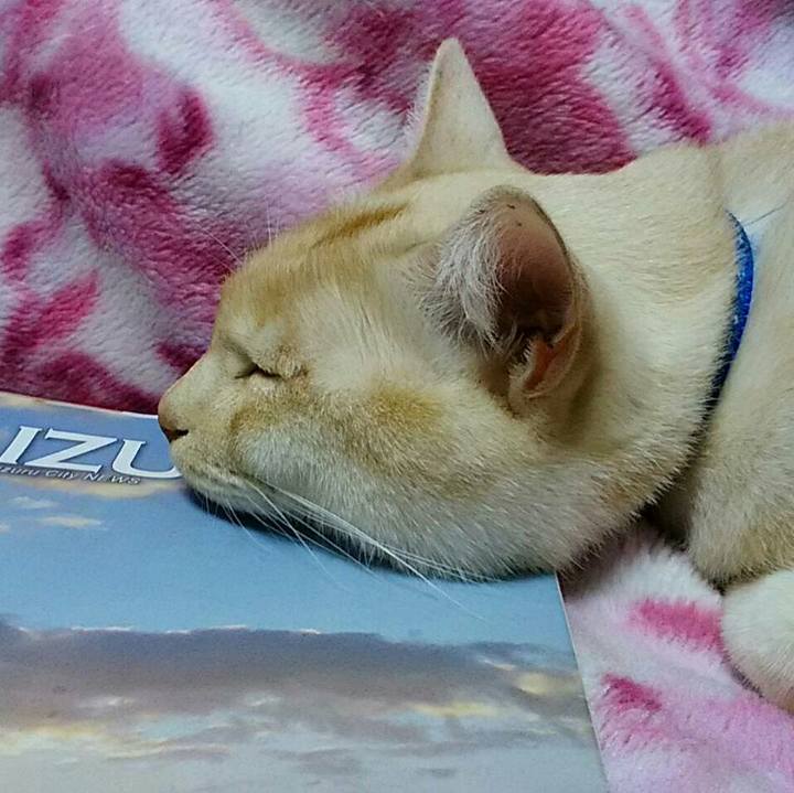 59c6bd38 2ee9 4fb7 b193 2ec87d0f2672