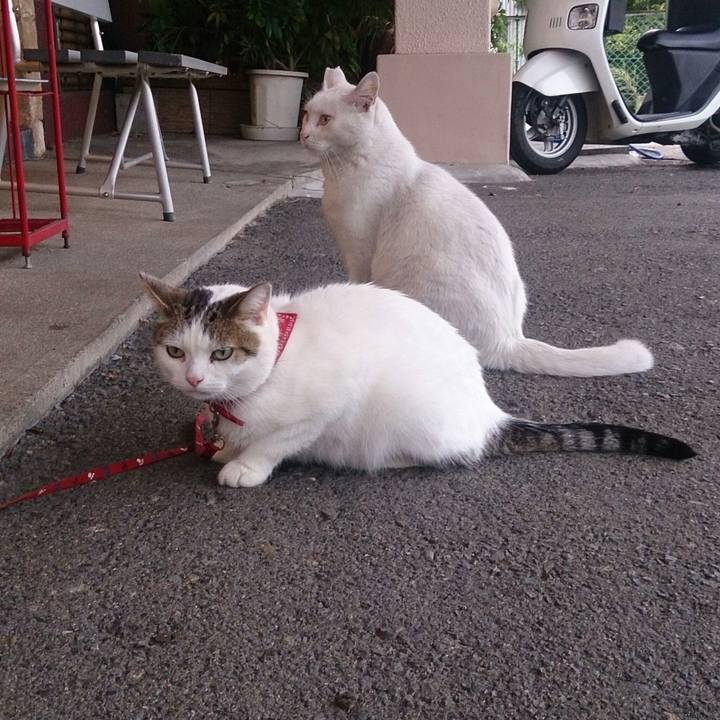 59c70f83 fe4e 49bc 9965 c89c6a41a9b0