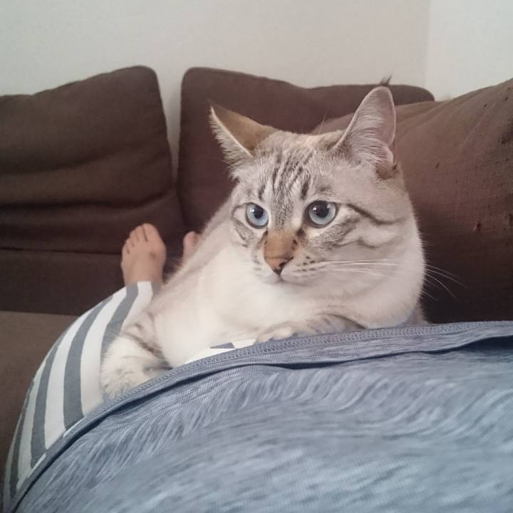 59c711ee 0eed 416e b65f 9a58edbcdd74