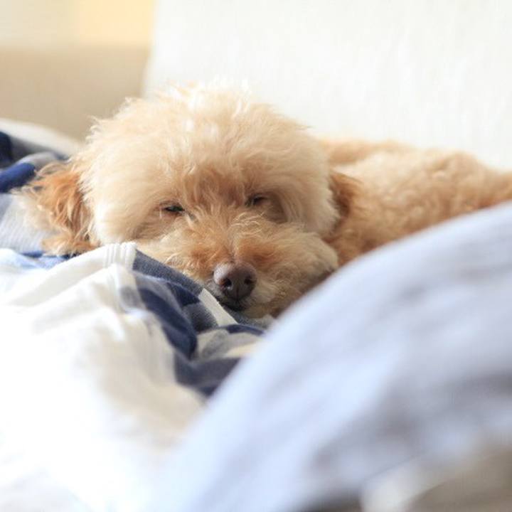 59c7c6cf 34ad 46b9 91fd 9722ee878a2a