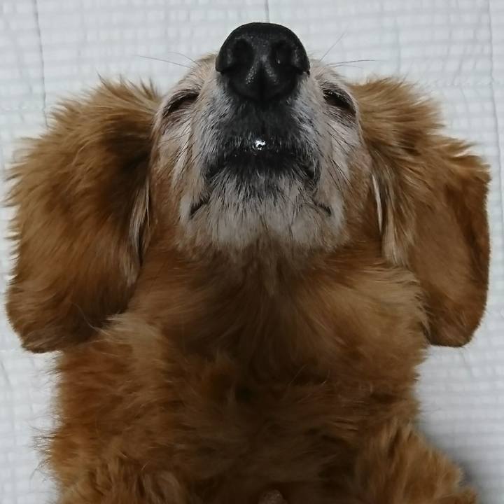 59c86c17 3627 4dc2 9a53 195d862c4c8a