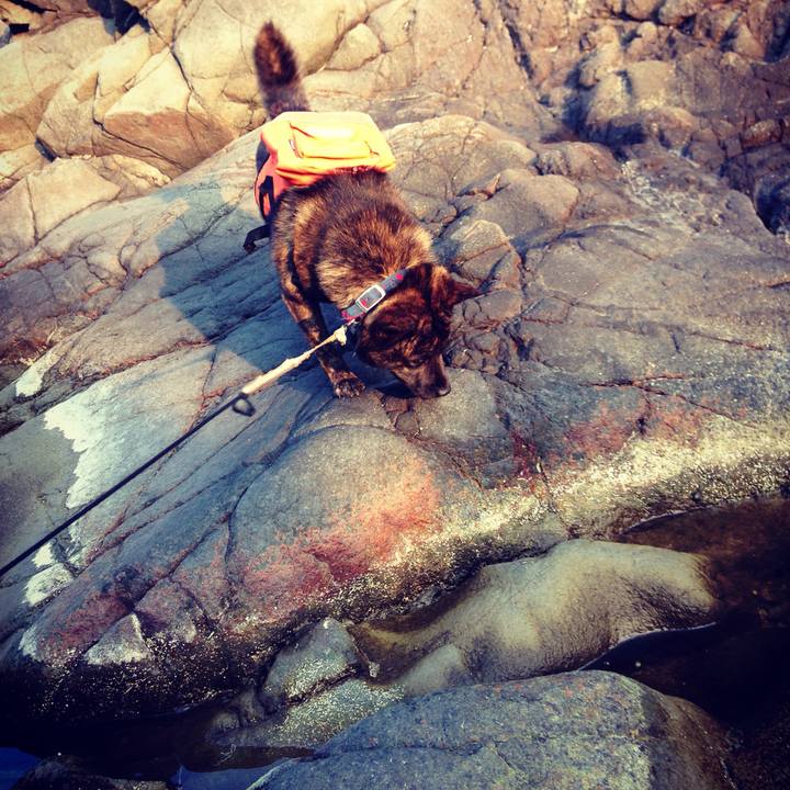 59c910a3 b924 46a3 a8c5 9586445735d1