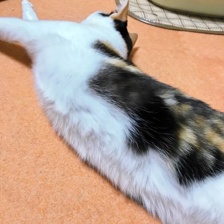 59c93192 880e 41b1 b186 5604a0d13e48