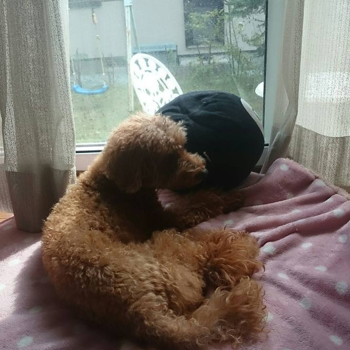 59c9e5c8 c433 418b 9be8 5f51f991019c