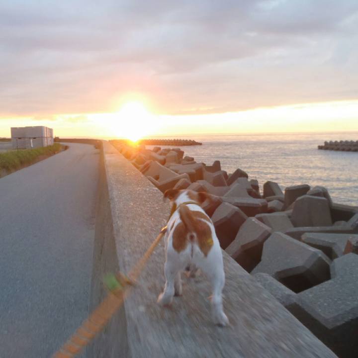 59ca28fd c14e 4516 8f4d 9f01888c04f7