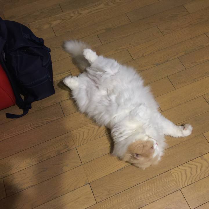 59cbb8c8 aab6 4c12 bdb5 08b901dd3fe8