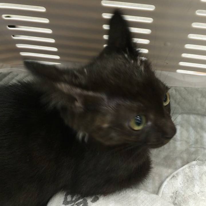 59cbc5ef e0c6 4f5b 870e 3d220a706746