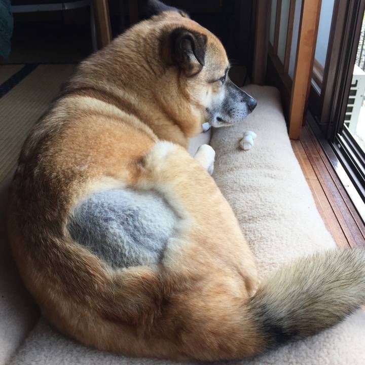 59cc21d8 796e 4c1d b560 da85e03d5094