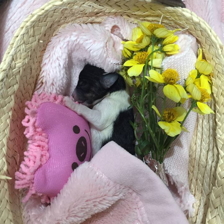 59cc7d2a ff22 47cd 8a85 32685b61542e