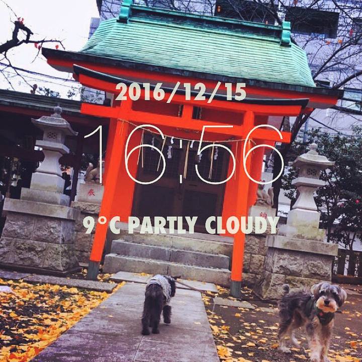 59ccf6a3 df62 4ce0 9af8 7ad5f538376e