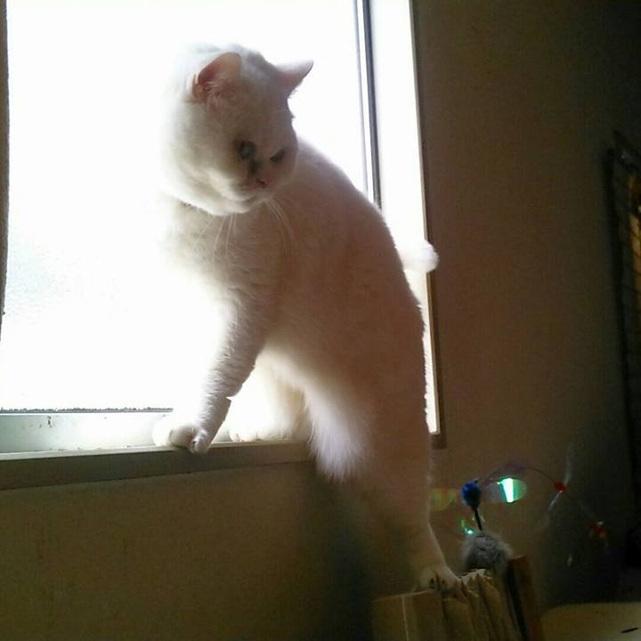 59ccfdef 521e 4848 9825 08c4d799f743