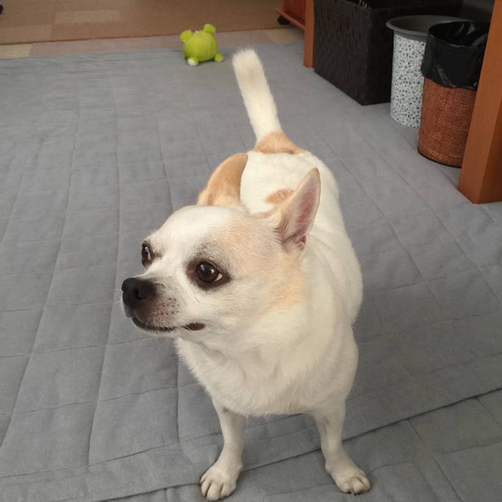 59cd3383 cff6 41ff 98c3 1545dd0d7715