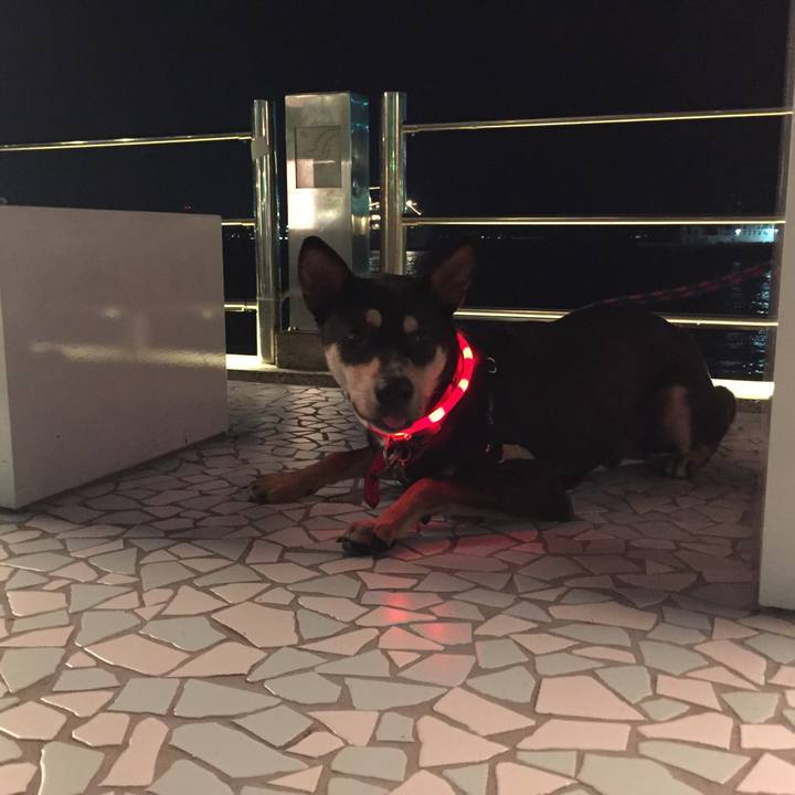 59cd3608 fed1 4dcb a1b2 90d6db133027