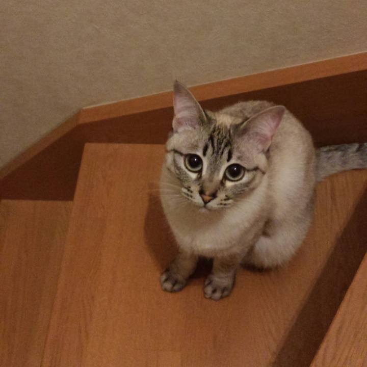 59cd7344 2317 4c80 8fcf c2c80bc5c6bf