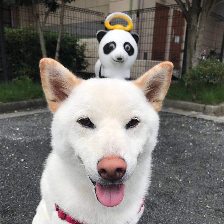 59cddbe5 0892 4196 926a a2111bbb547a