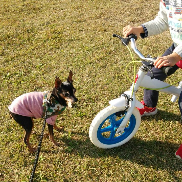 59ce0fe2 527d 42ec 8354 72e3915b6fd1