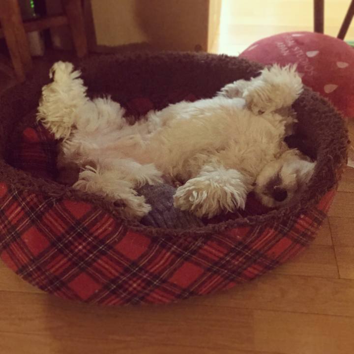 59ceae68 7a64 48b4 935f d98beb804311