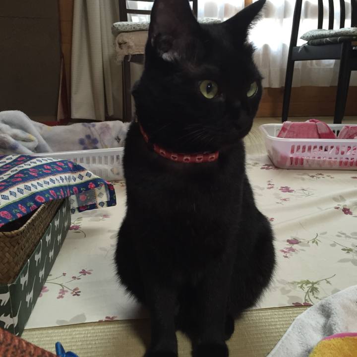 59cebb7f 826b 432e 8cd7 045c59f9c0a9