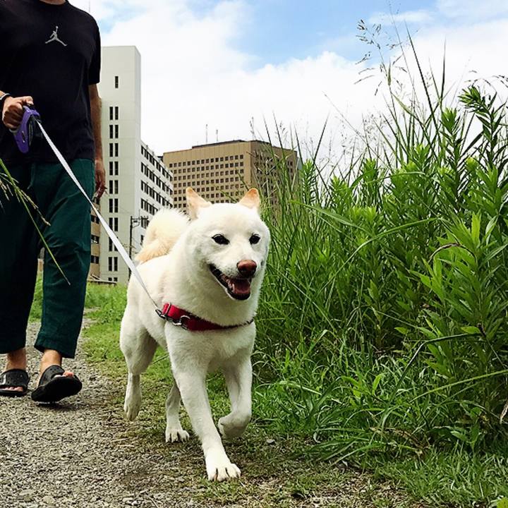 59cedca6 593b 408d be74 bb4a7a2dd780